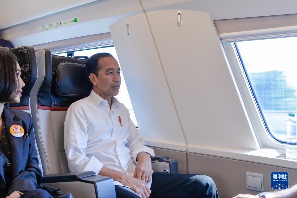 龙虎娱乐入口
